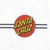 SANTACRUZ(サンタクルーズ)【商品画像４】
