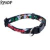 RIPNDIP(リップンディップ)【商品画像１】