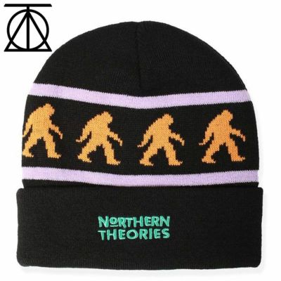 セオリーズ THEORIES NORTHERN THEORIES BEANIE(BLACK)